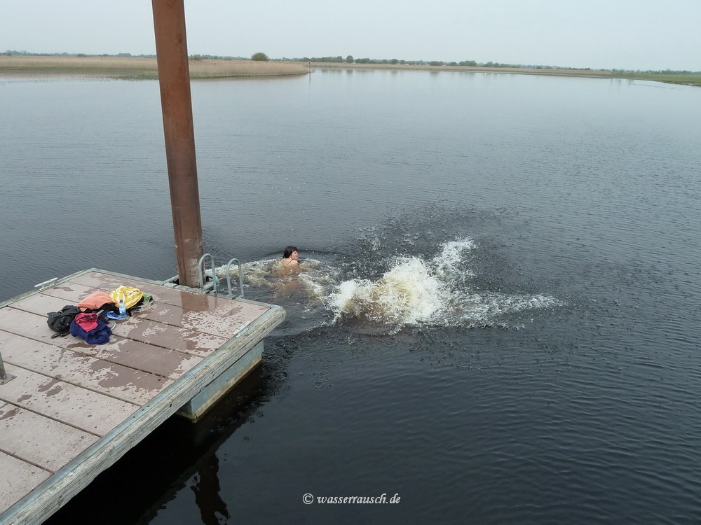 Swimming in the Shannon