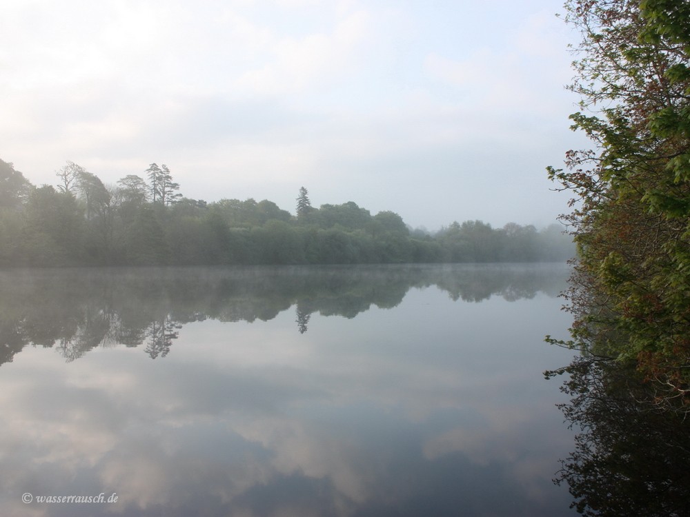 River Shannon