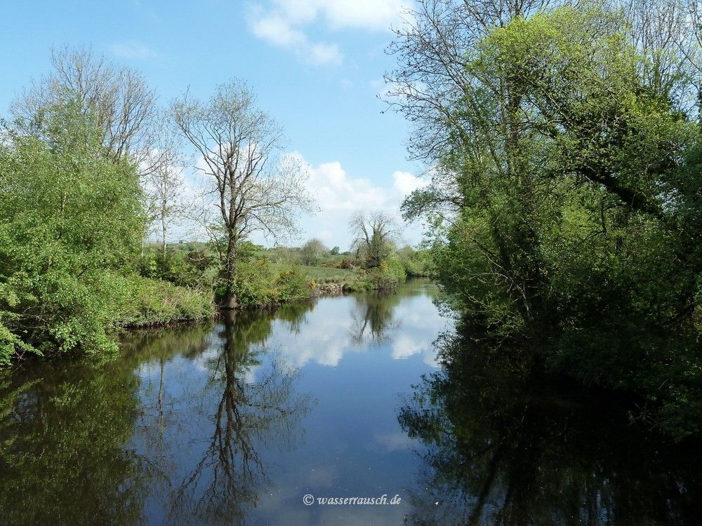 Scarriff River