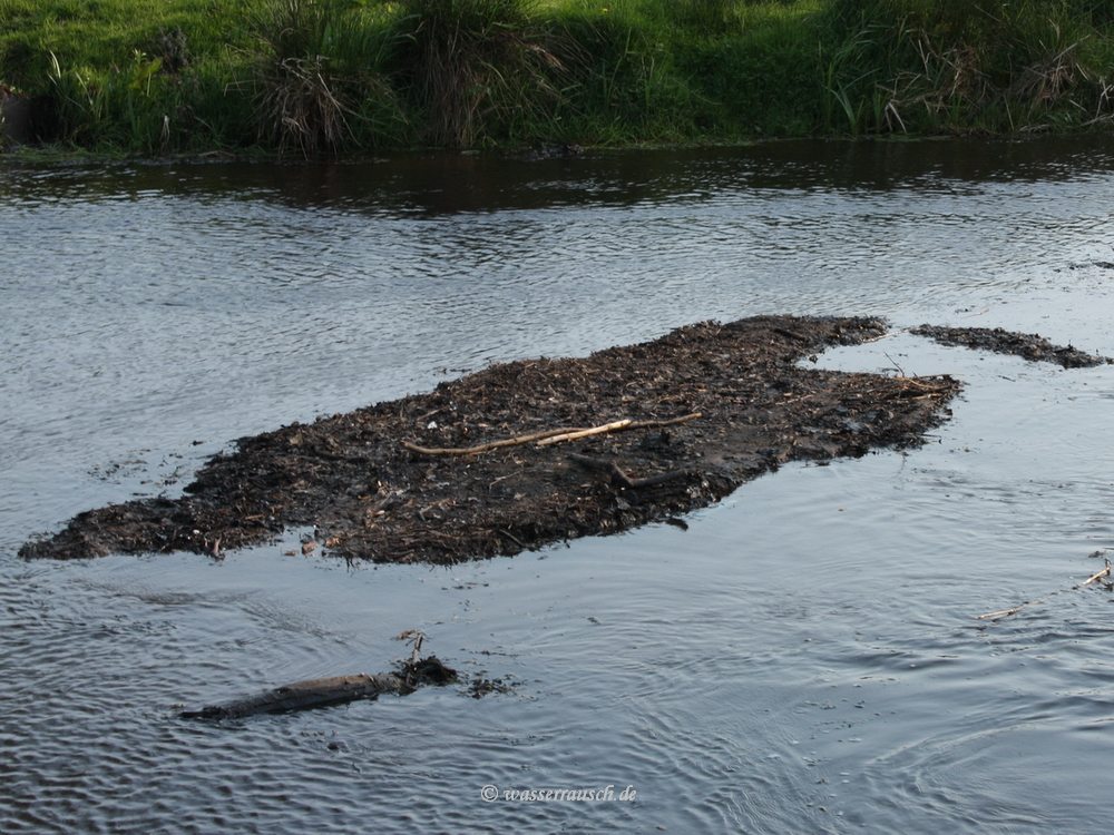 Woodford River