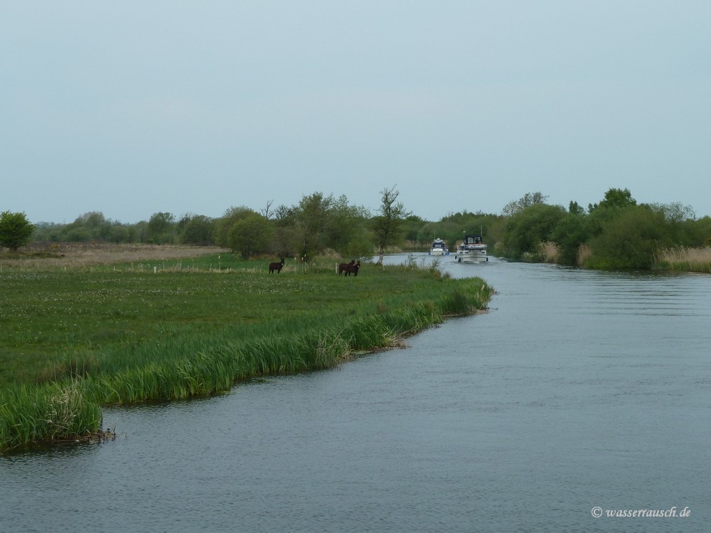 Cappagh River