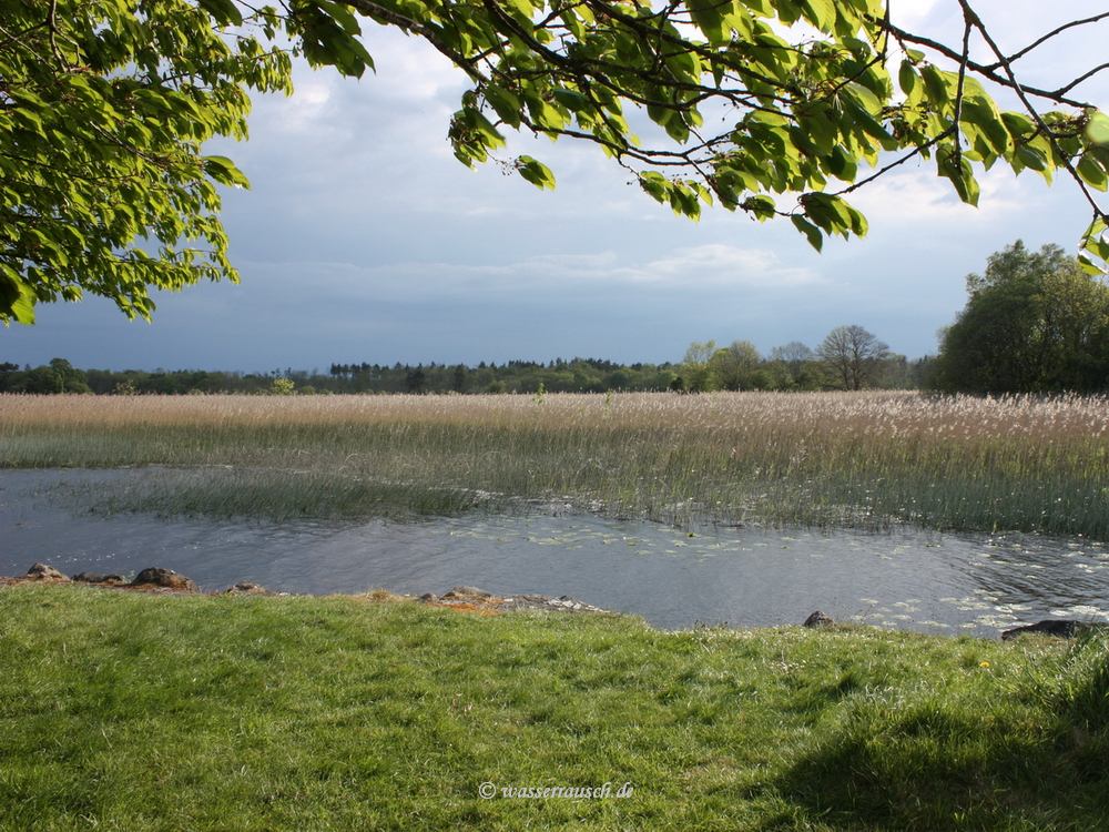 Portumna Harbour