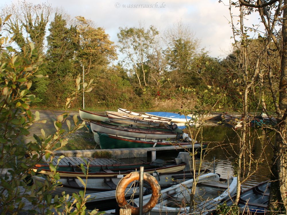 Fishing boats