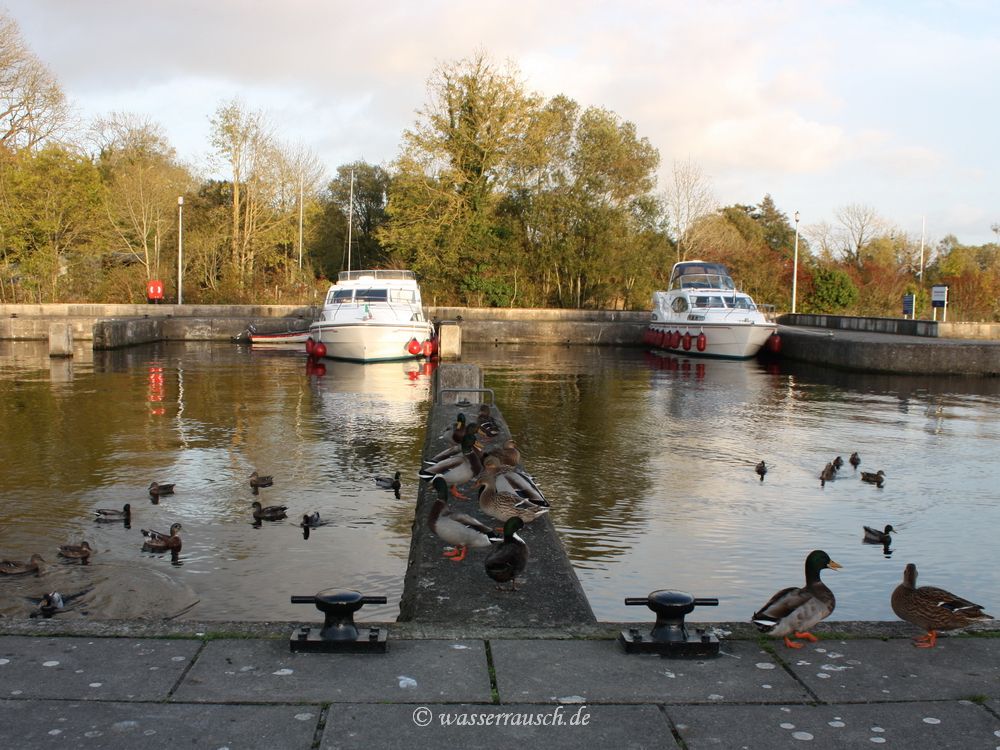 Portumna harbour