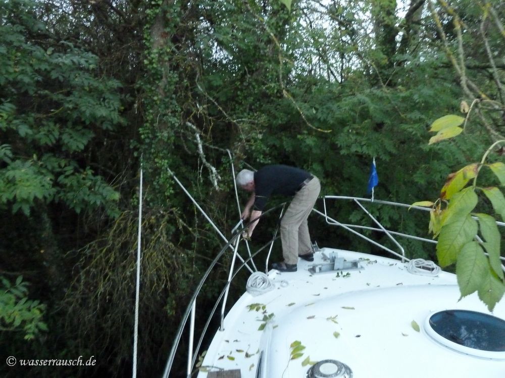Willi at work