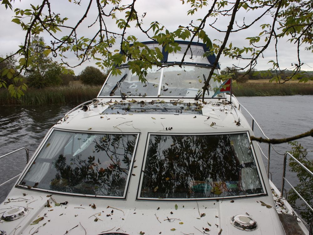 Leaves on boat