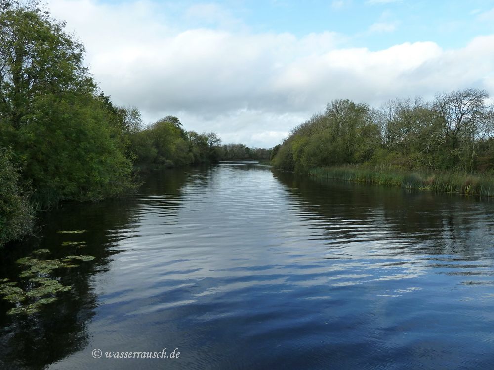 Back water
