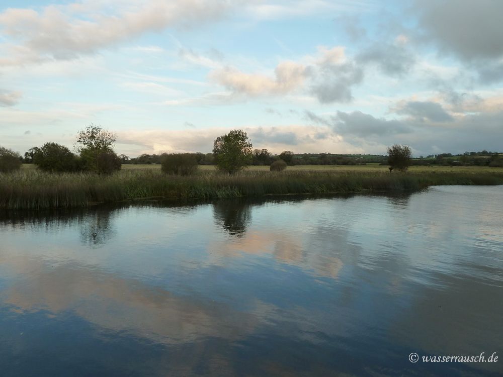 Reflections