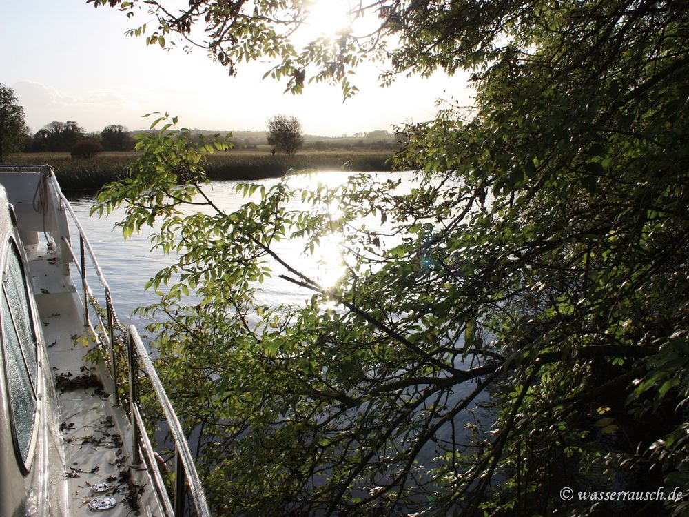 Moored under trees