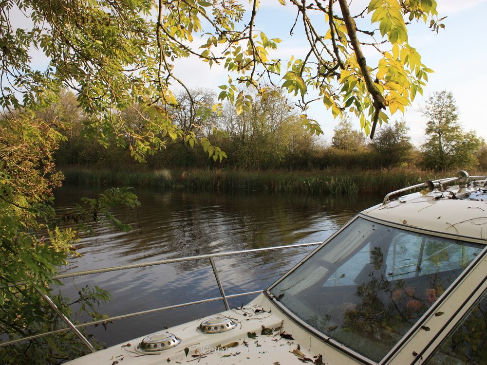 Moored under trees