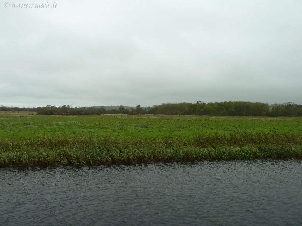 A boring meadow?