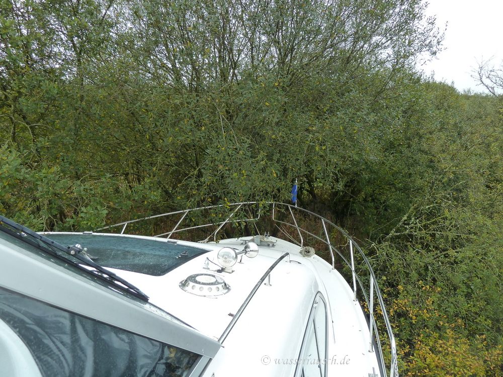 Moored to a tree