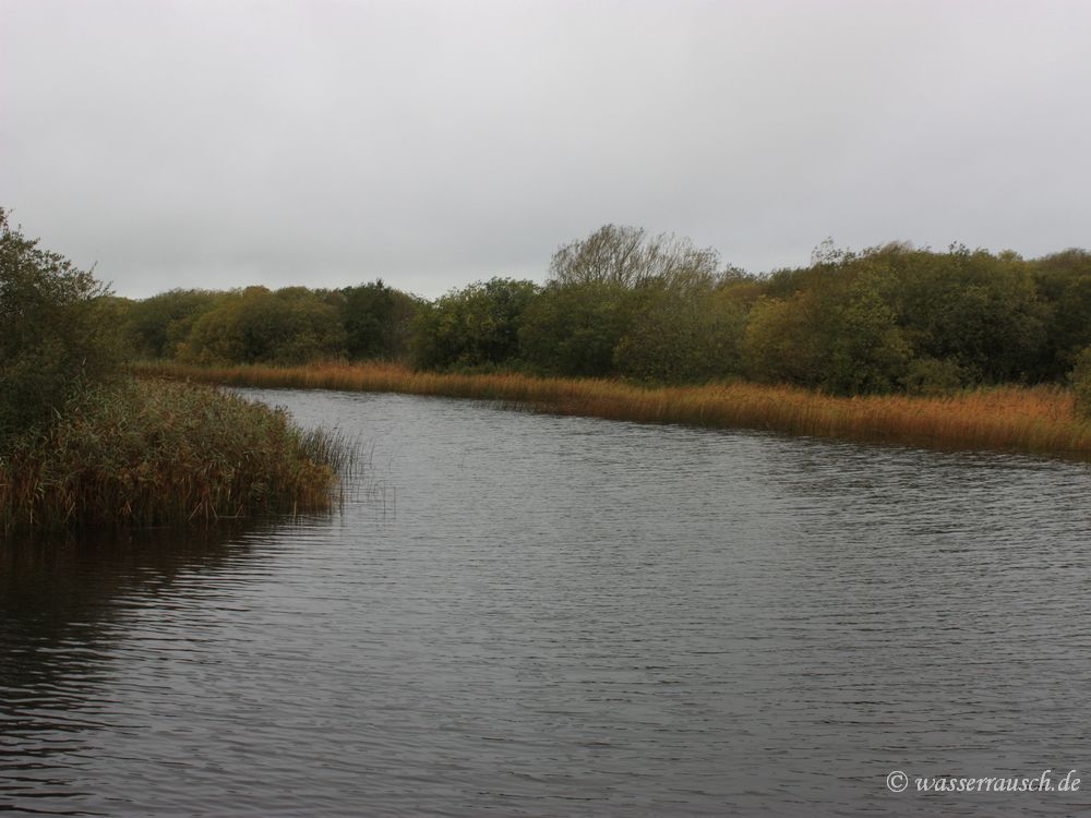 Back water Bullock Island