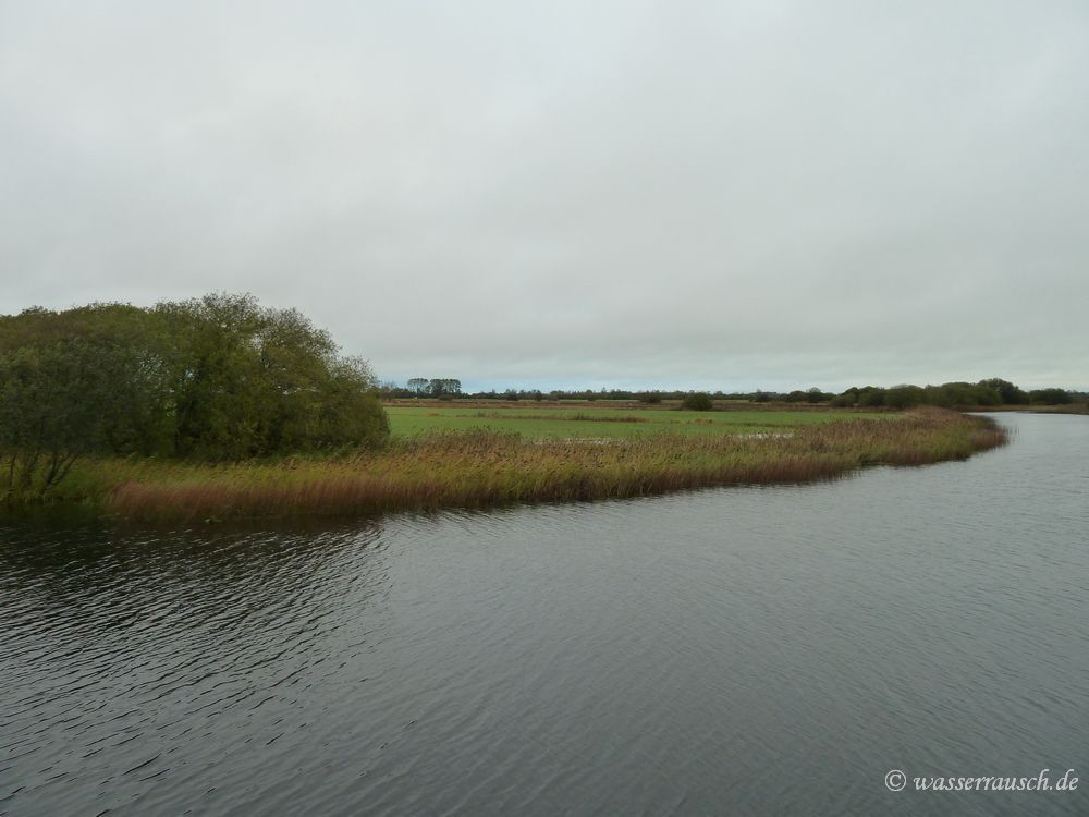 Wetland?