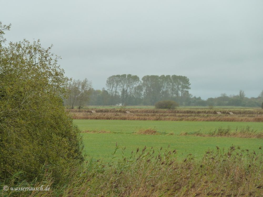 View to Shannon Harbour