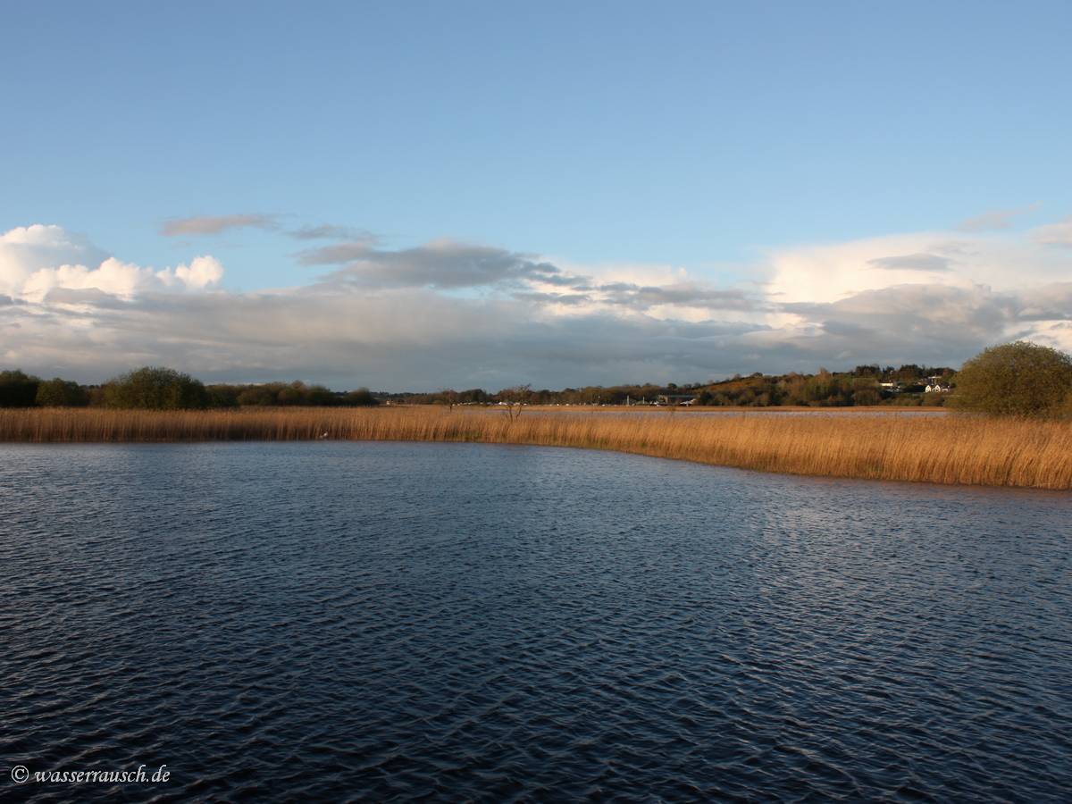 Evening light
