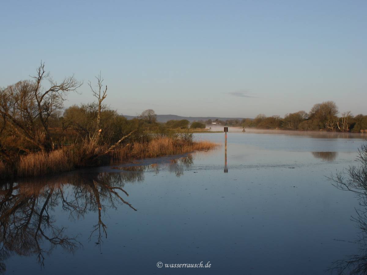 Ground fog on the Shannon