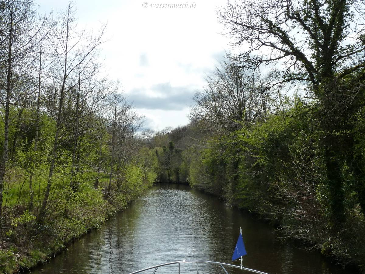 Back on Lough Allen Canal