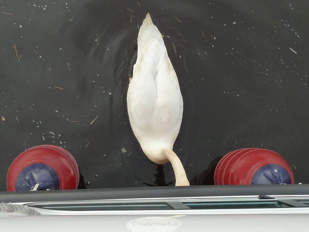 Hammering on the boat