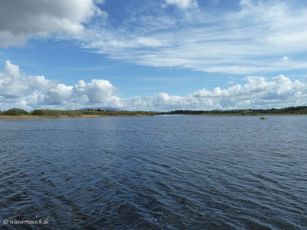 Mouth River Boyle