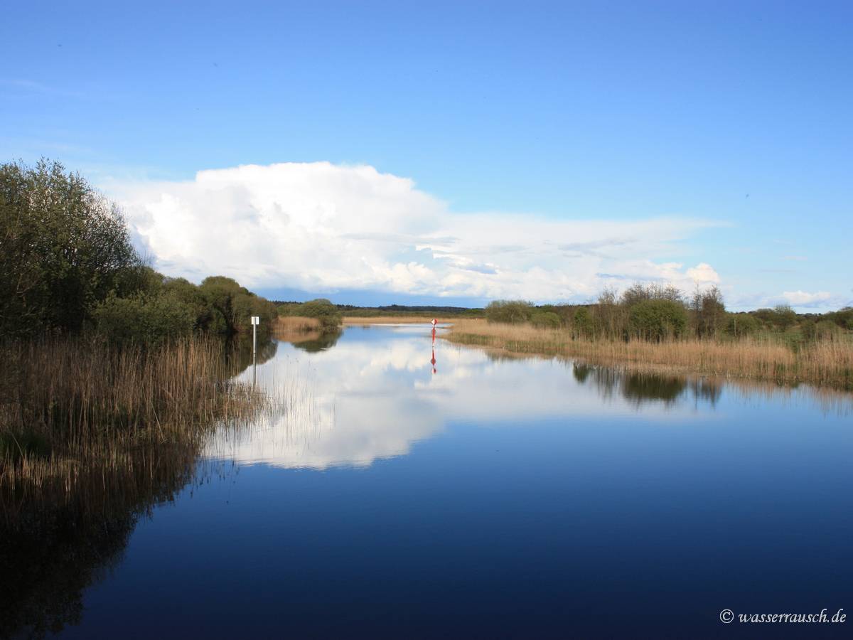 Reflections