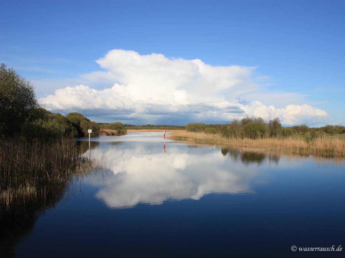 Reflections