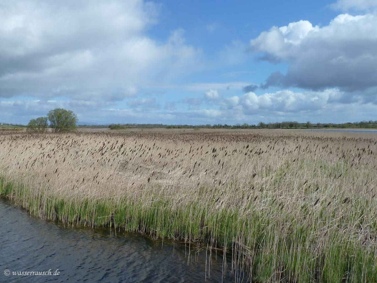 Flood plains