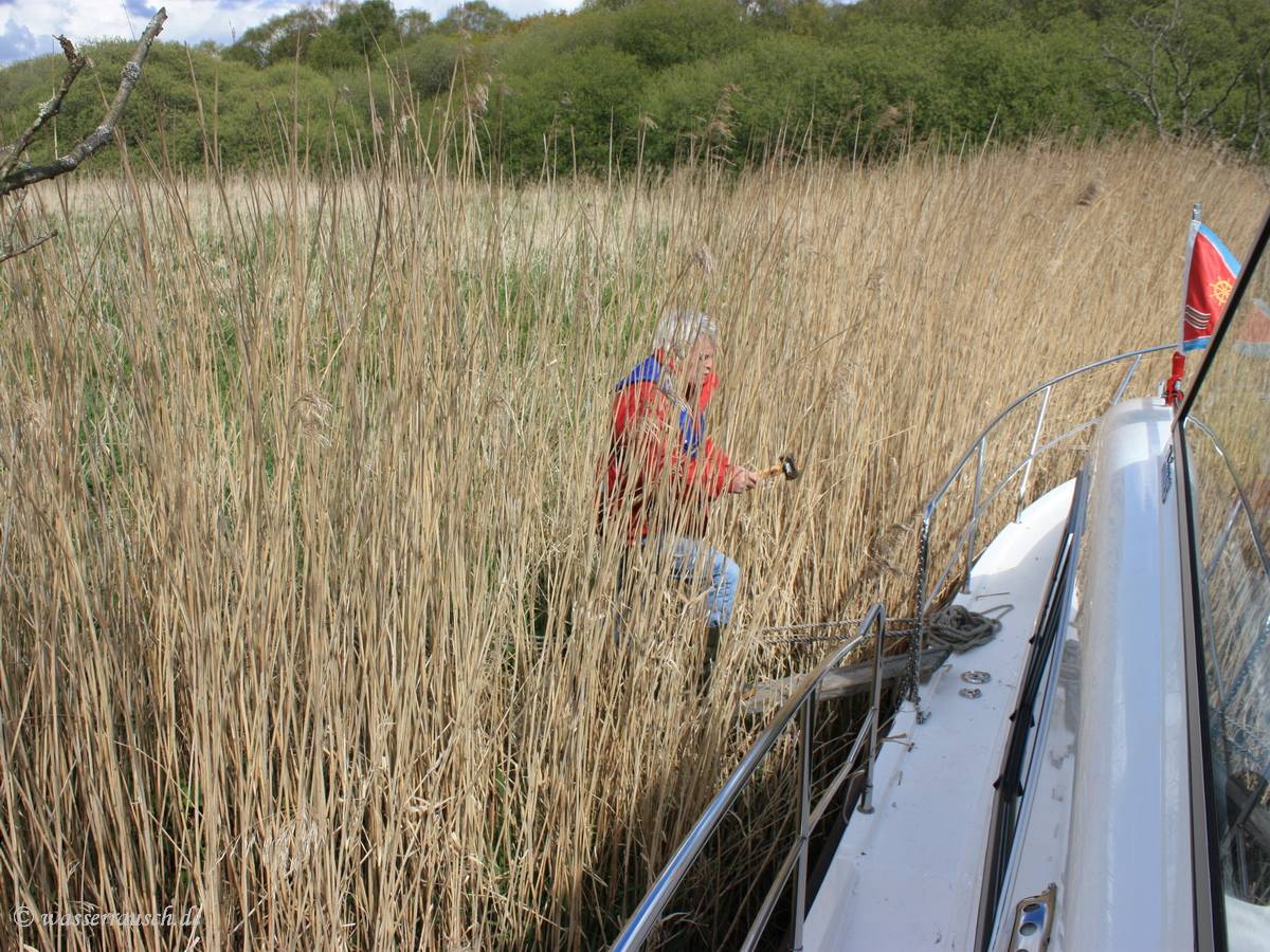 Mooring to the banks