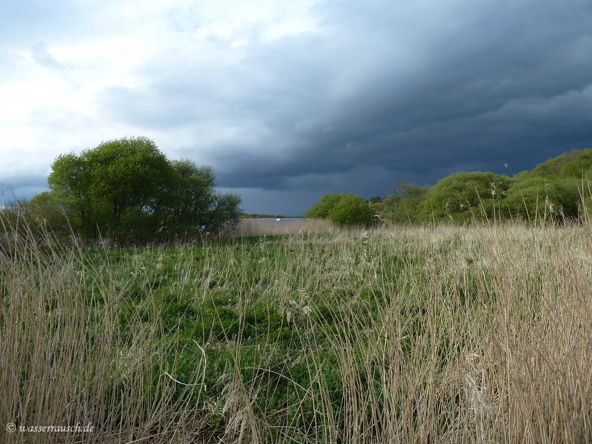 Dark clouds arrive