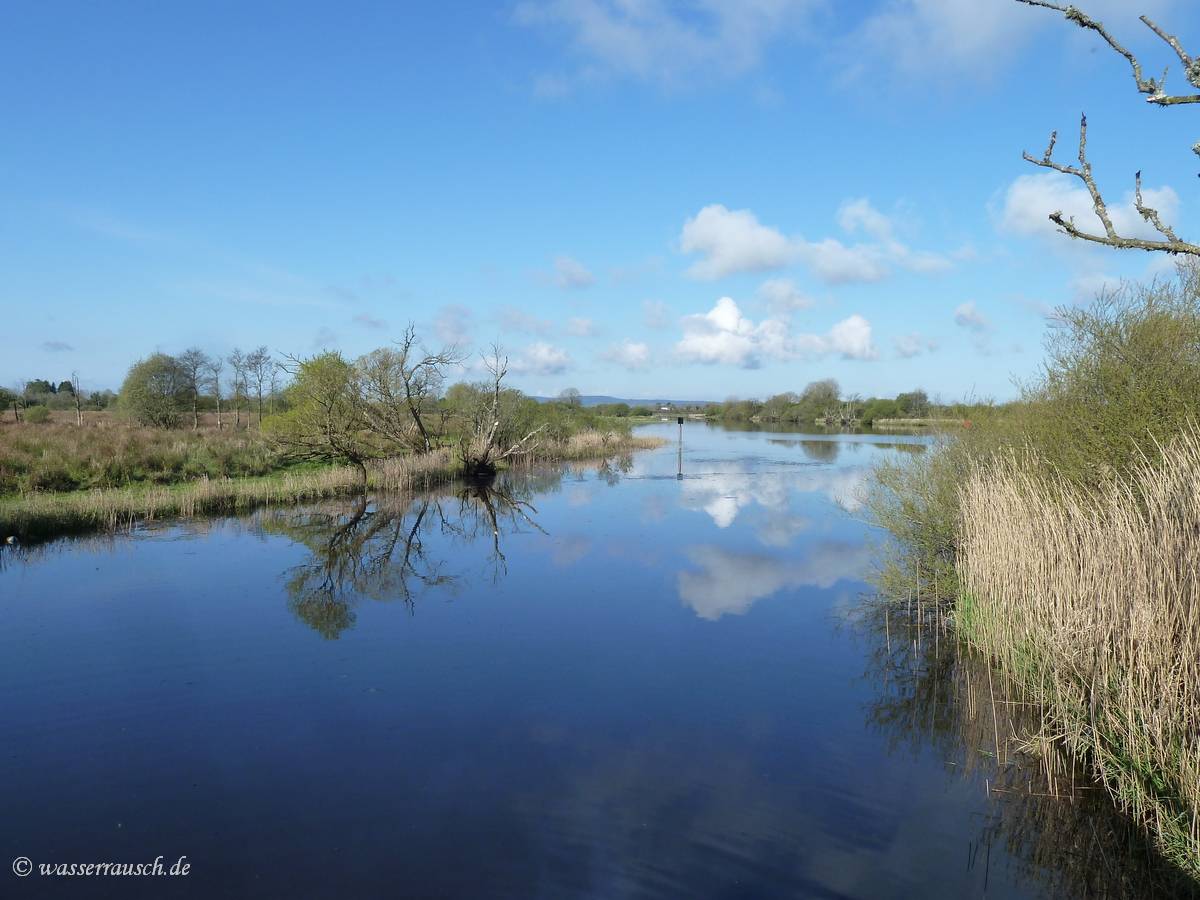 Blue reflection