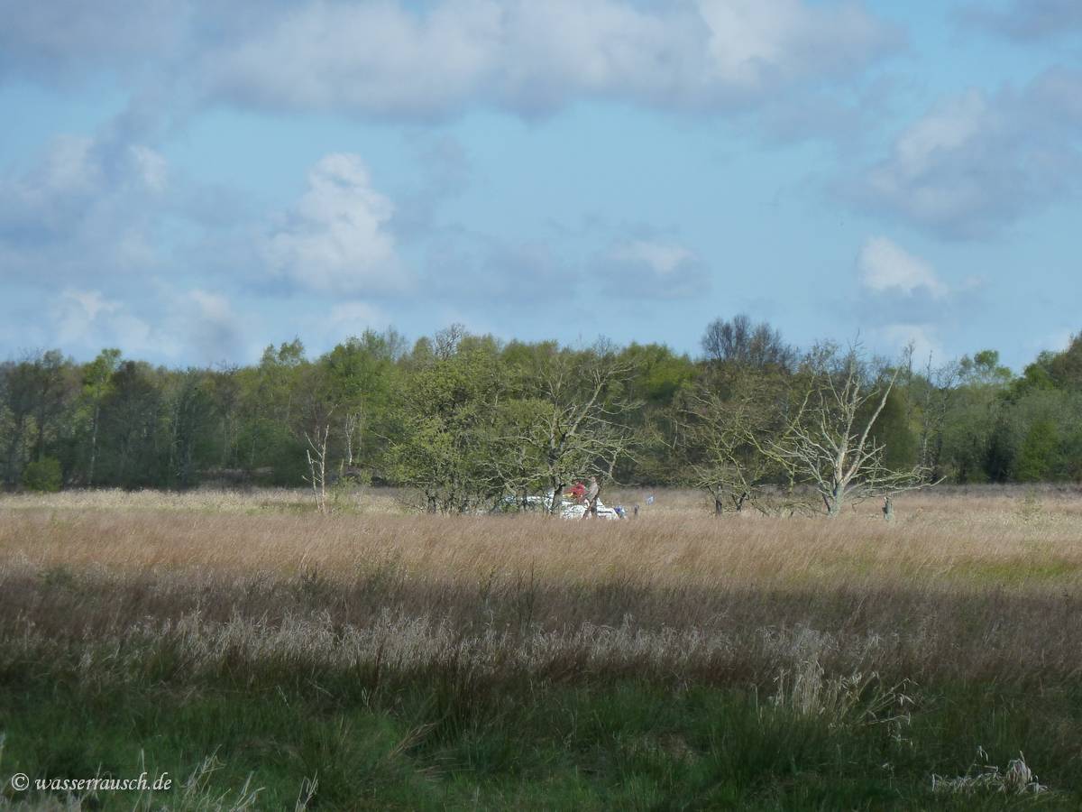 Driving through the meadows