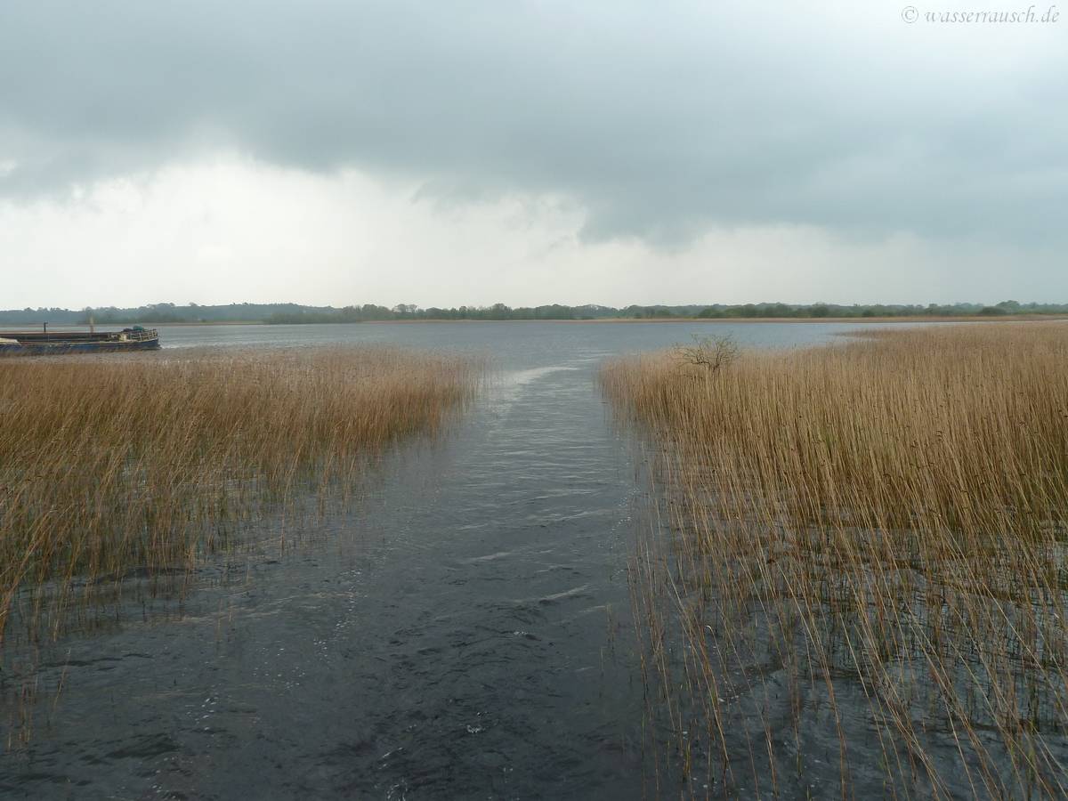 Temple Island Cut