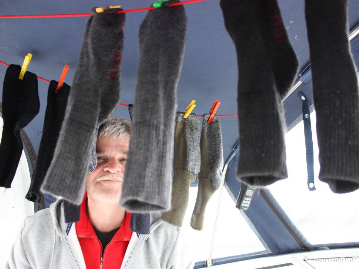 Sock forest