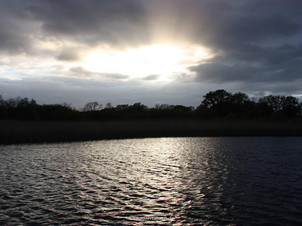 Sun rays
