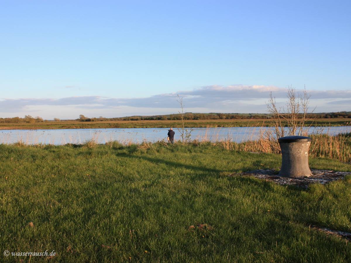 Taking photos in the Callows
