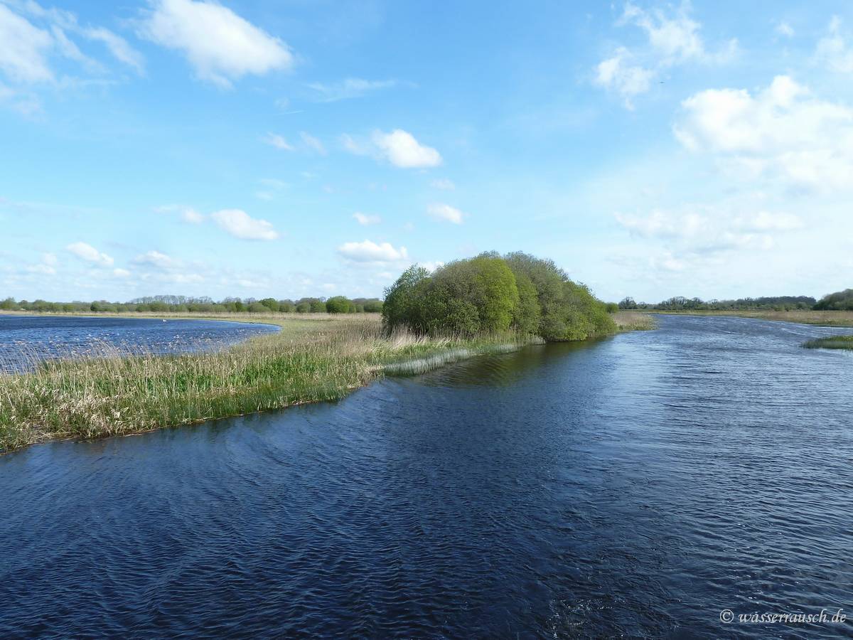 Sallow Island