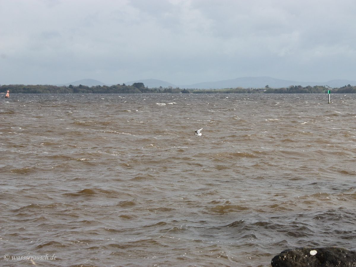 Brown water