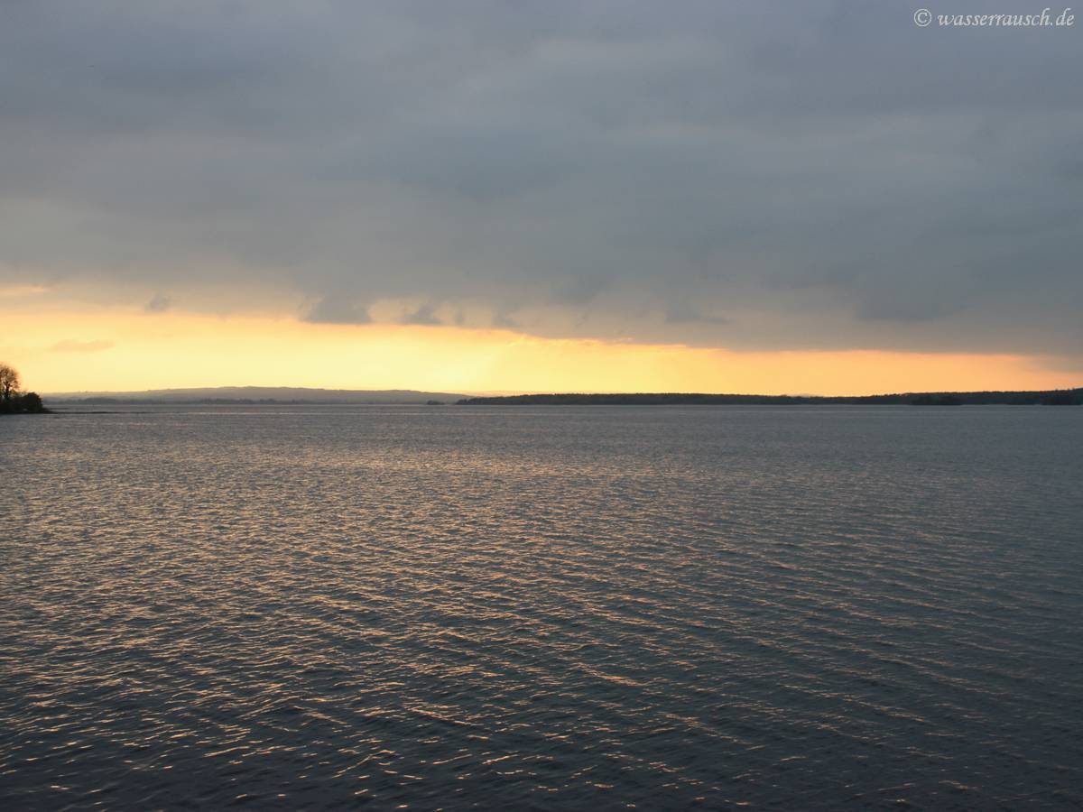 Evening light