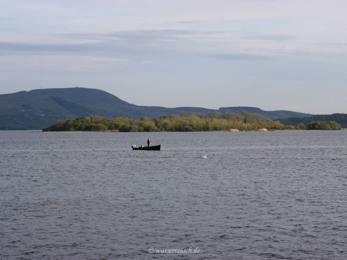Bushy Island
