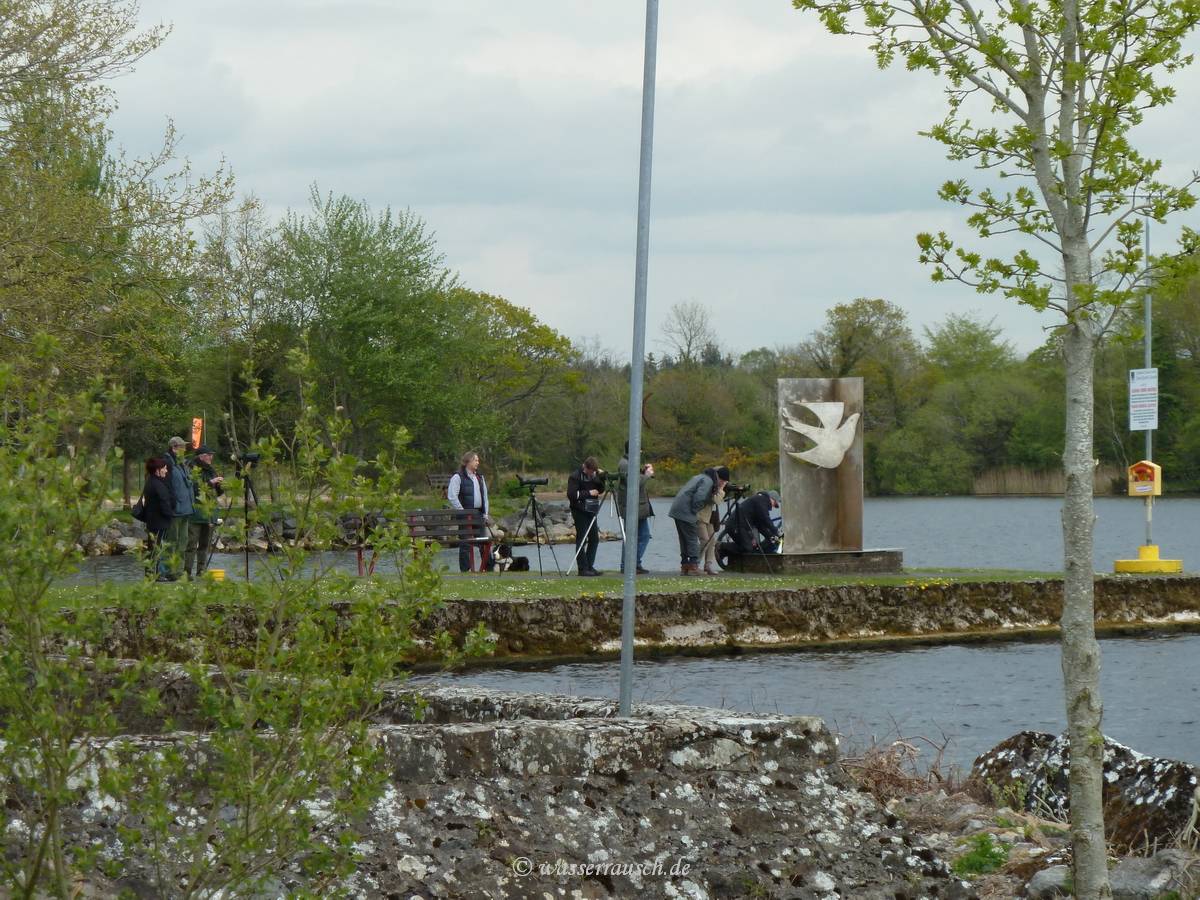Mountshannon