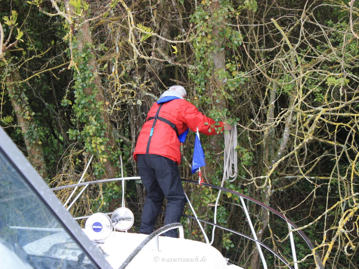 Mooring to trees