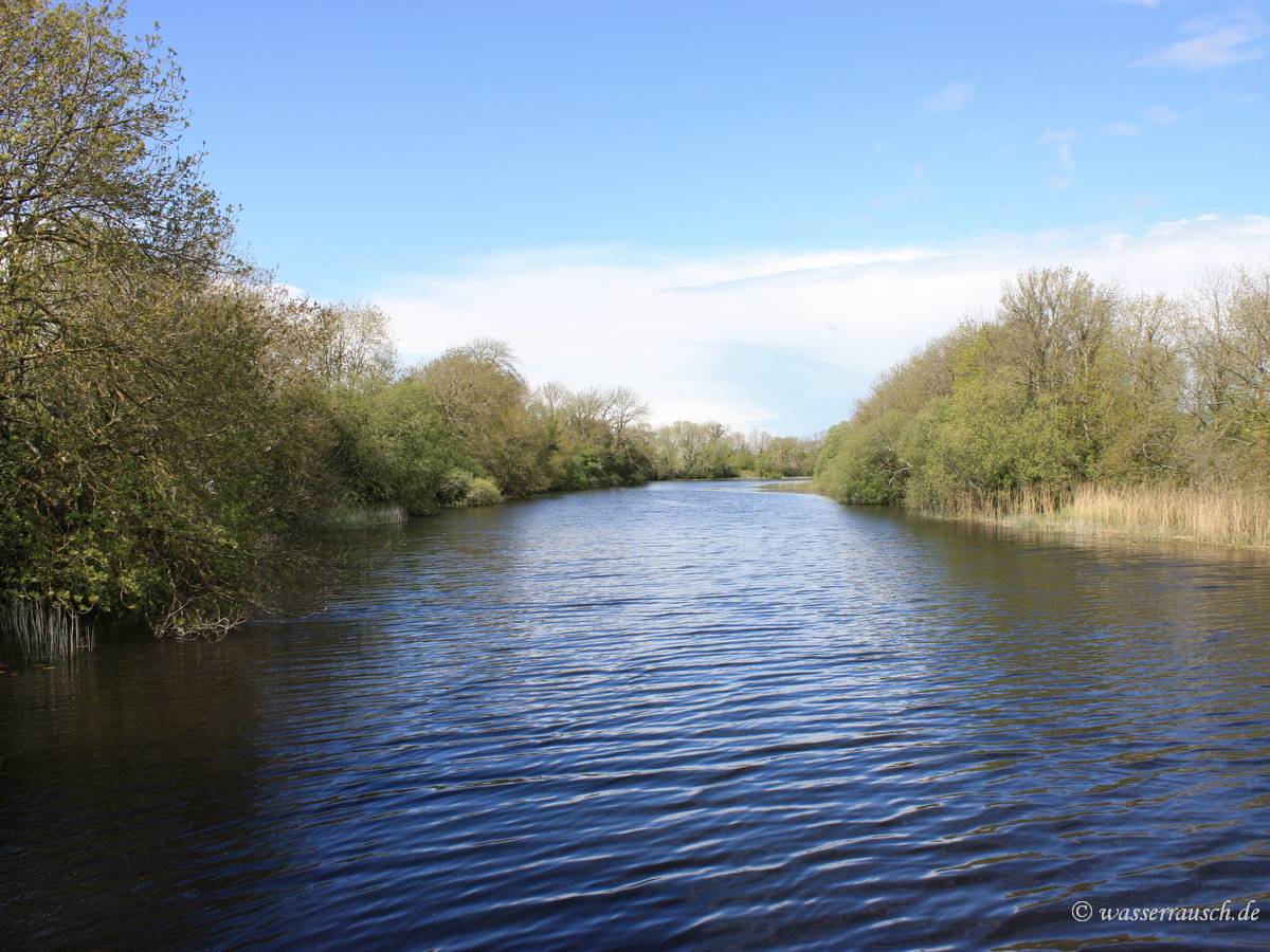 Shannon backwater