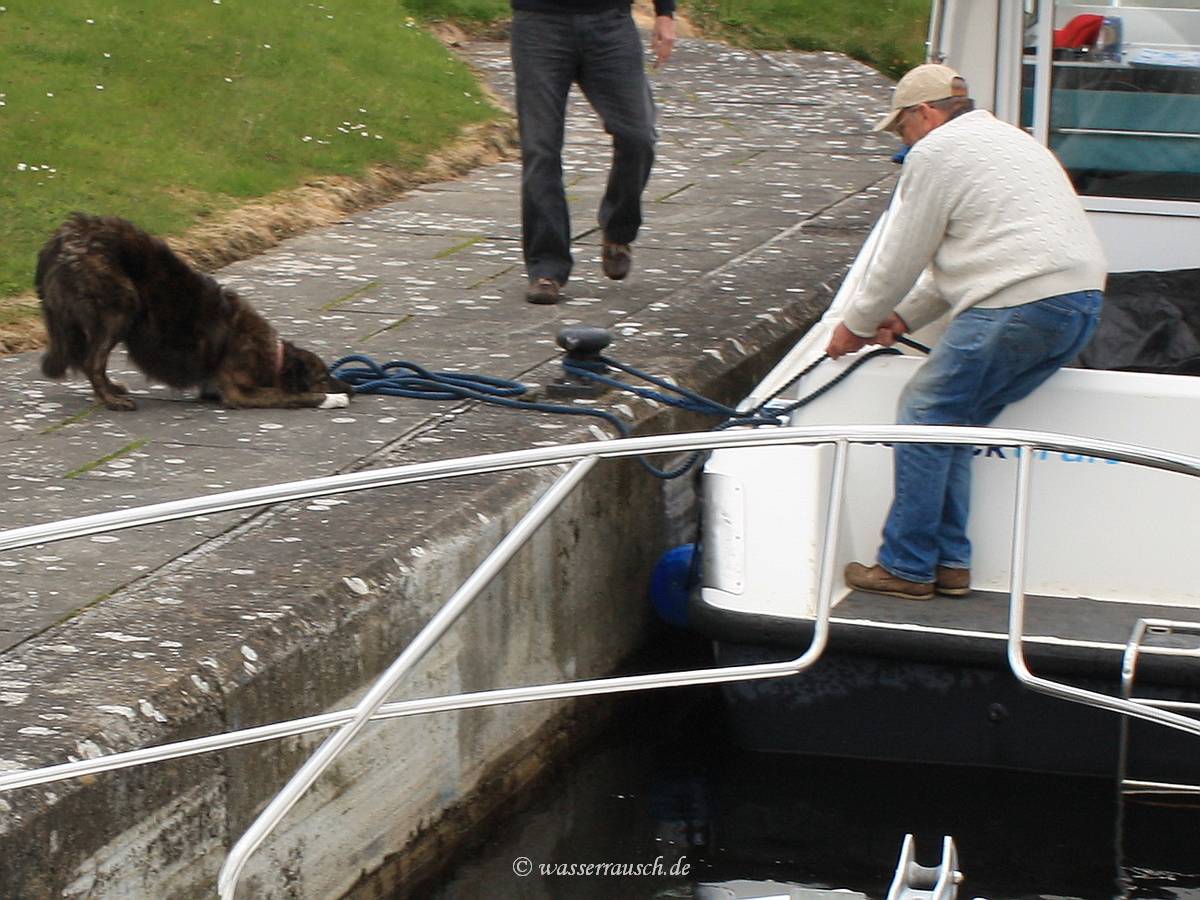 Harbour master