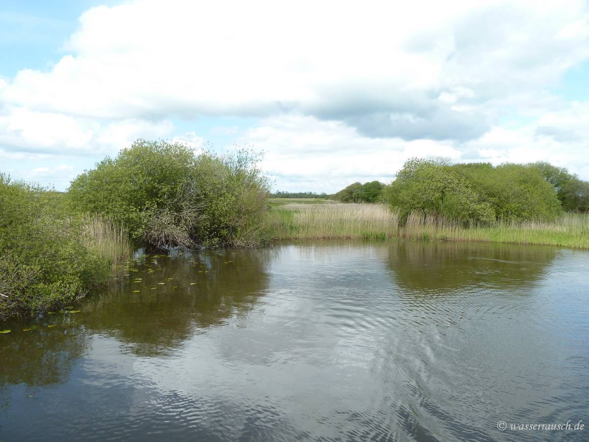 Backwater at Banagher