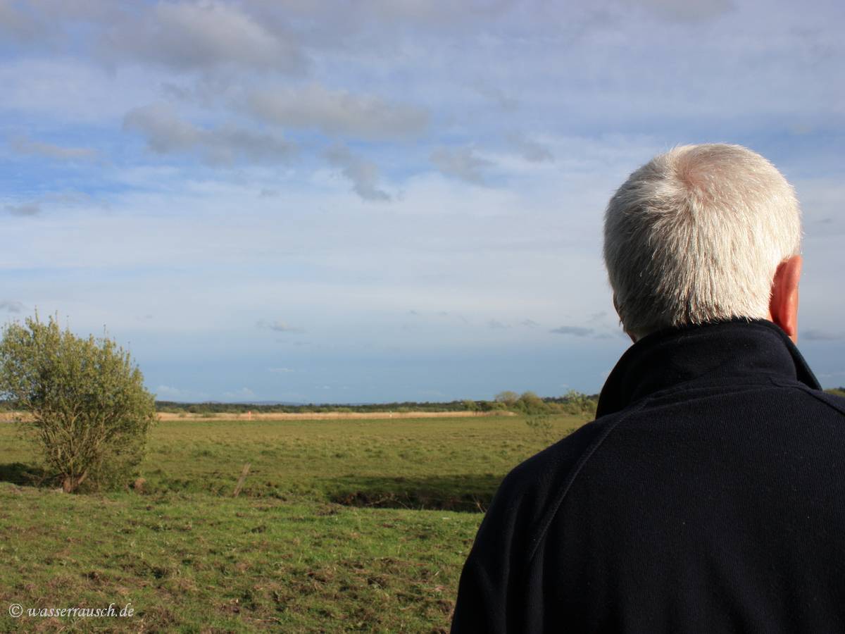 View over the Shannon Callows