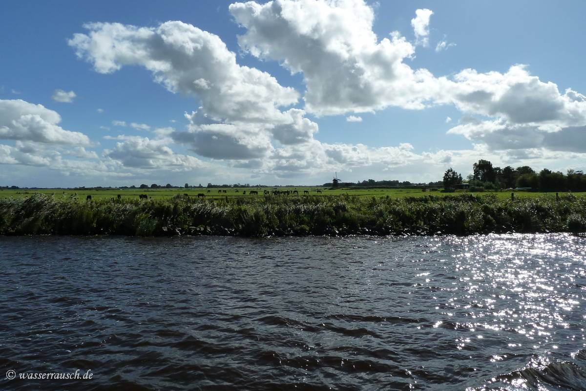 Frisian windmill in the background