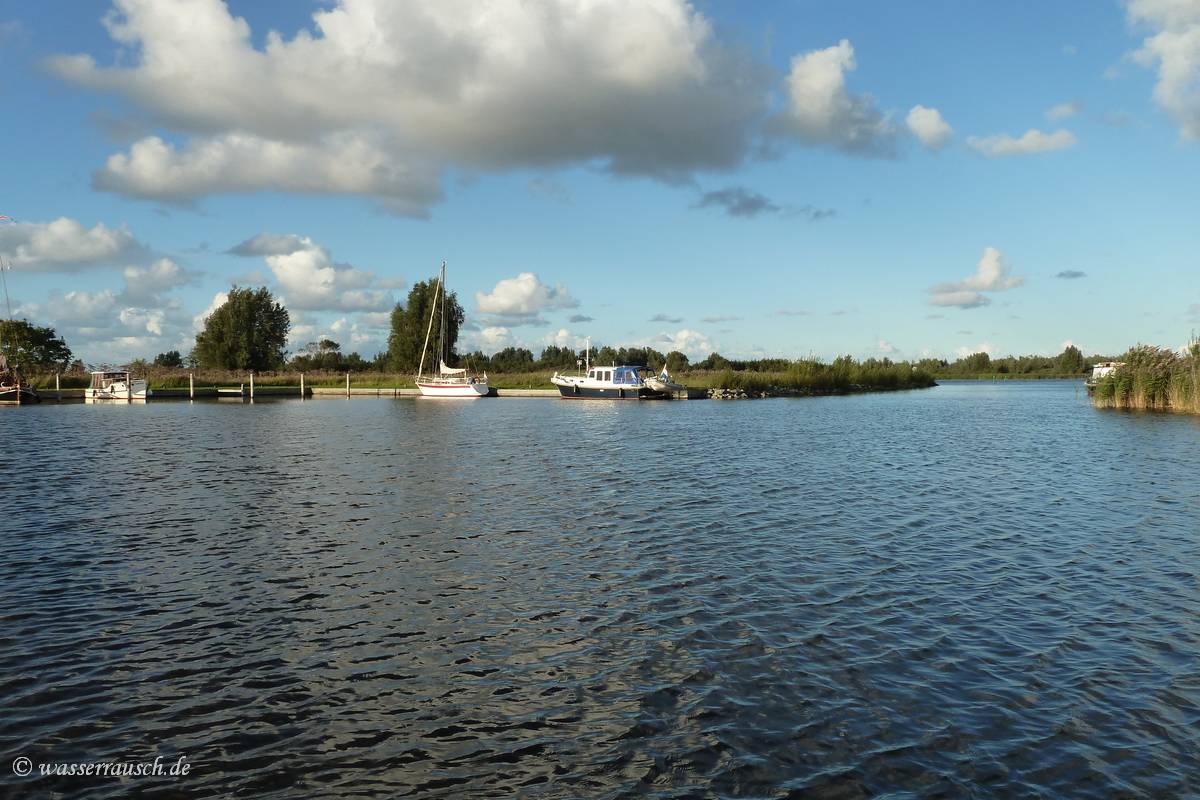 Senneroog