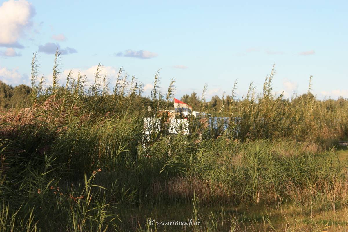 Senneroog