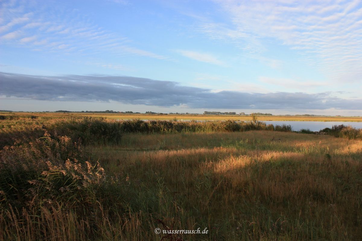Senneroog southwest