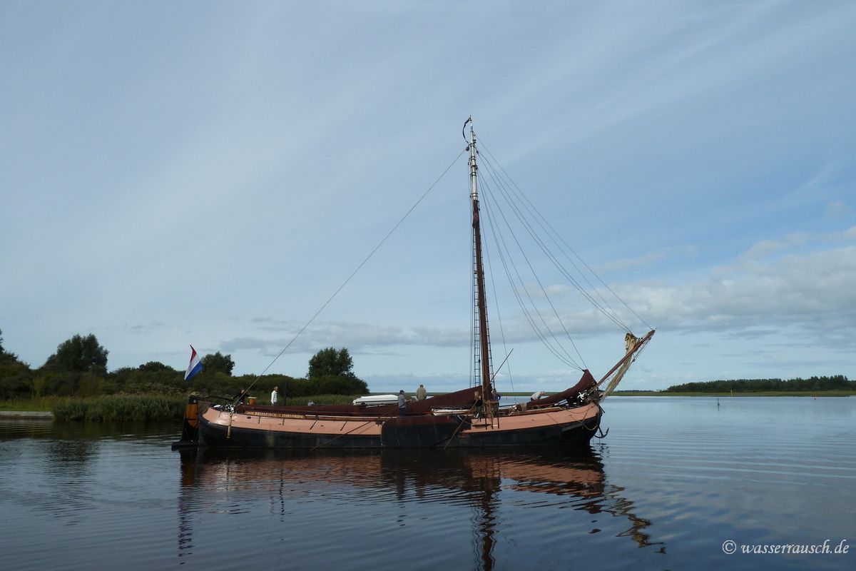 Bruinvisch